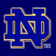 Fighting Irish